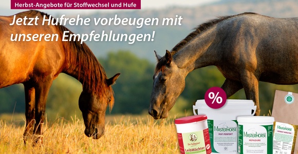 Masterhorse Newsletter Hufrehe Oktober