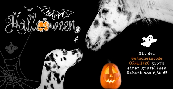 Gruselig guter Gutschein über 6,66 € zu Halloween