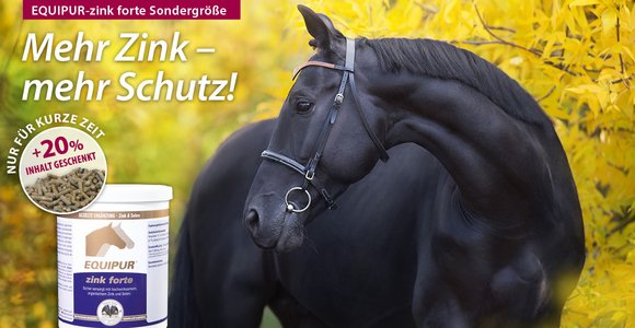 Wieder da! Aktionsgröße EQUIPUR-zink forte
