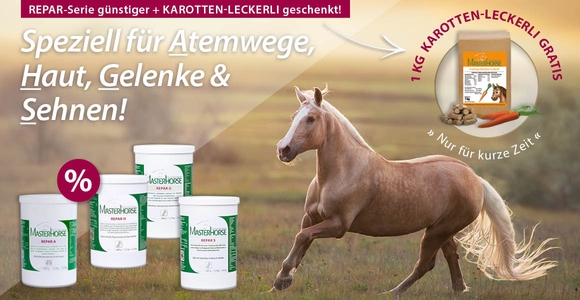 Karotten-Leckerli gratis – Unsere REPAR-Serie jetzt günstiger