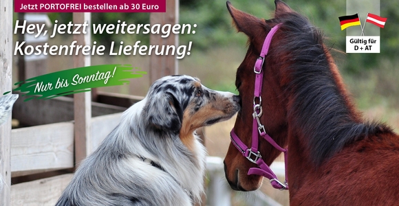 Versandkostenfreies Wochenende – Entspannt shoppen