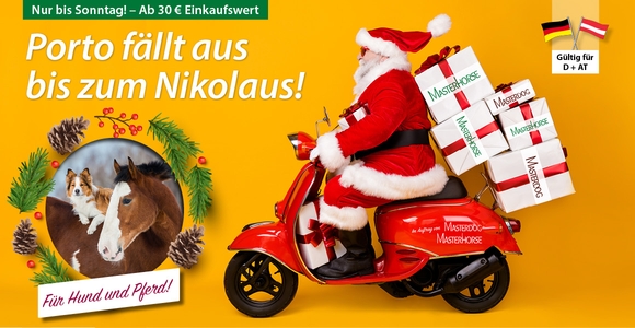 Zu Nikolaus: Wir schenken Ihnen die Versandkosten!