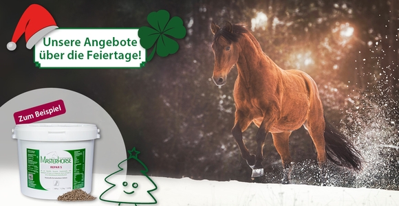 Unsere Feiertagsangebote