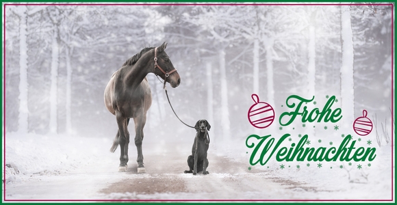 MASTERHORSE wünscht frohe Weihanchten