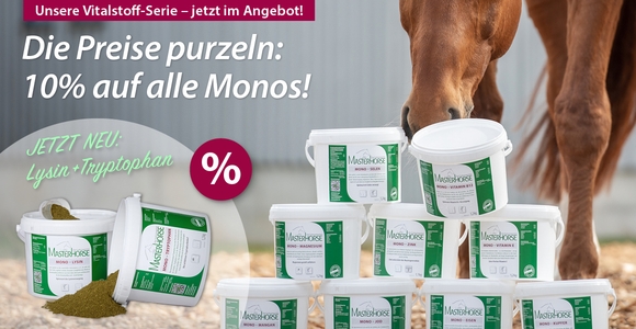 Weitere Neuheiten – Unsere Monos im Angebot