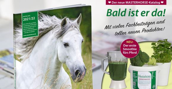 Unsere Top-Neuheiten im aktuellen Katalog 2021