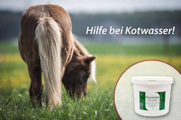 Angebote zum Thema Kotwasser 
