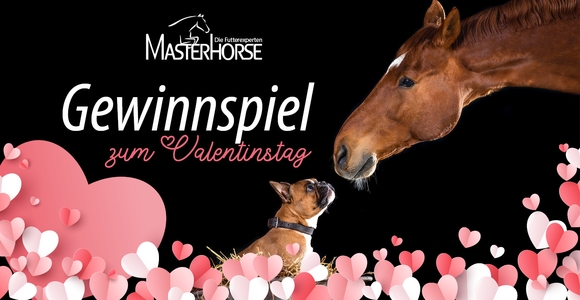 Valentinsgewinnspiel