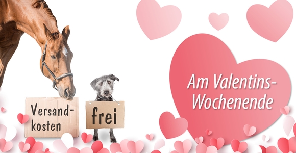 Zum Valentinstag: Wir schenken Ihnen die Versandkosten