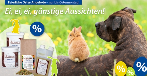 Unsere MASTERDOG-Oster-Angebote
