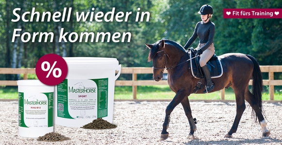 So machen Sie Ihr Pferd fit fürs Frühjahrstraining!
