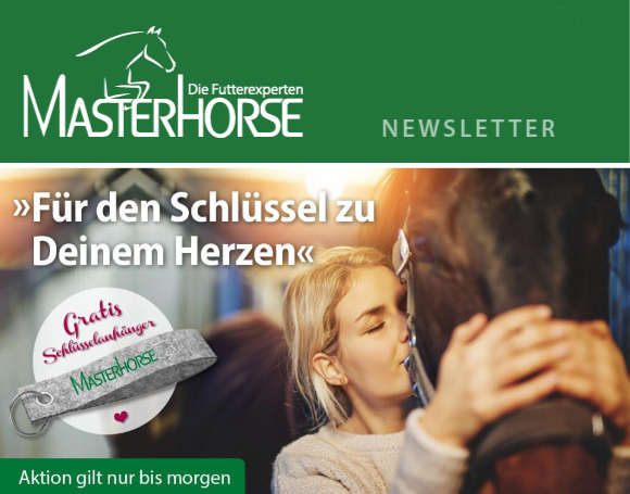 Valentinstag bei MASTERHORSE