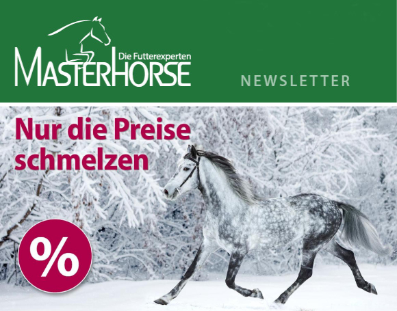 Angebote von Masterhorse im Januar 2024